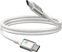 4ft USB C to Type C Cable