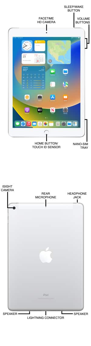 Device Diagram