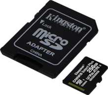 Canvas Select Plus MicroSD Card 256GB