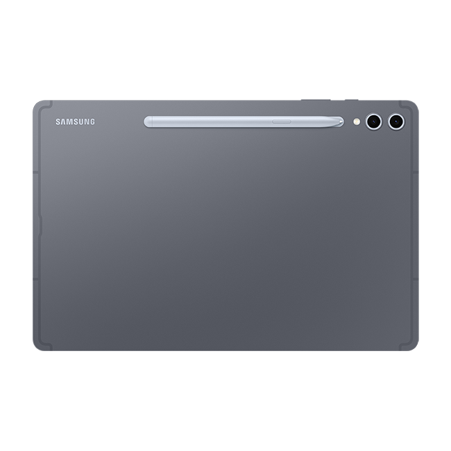 Samsung Galaxy Tab S10+ 5G - Moonstone Gray  (Product view 6)