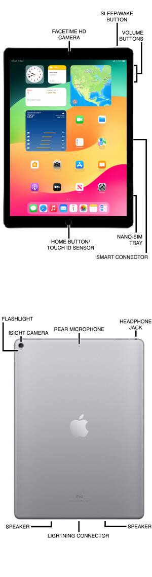 Device Diagram