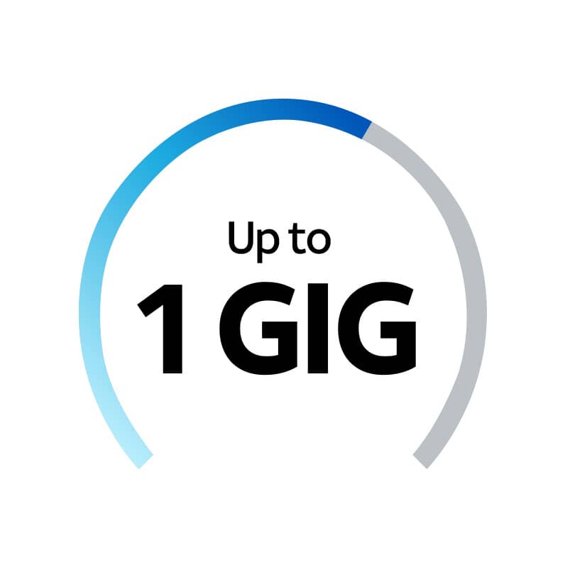 1gig